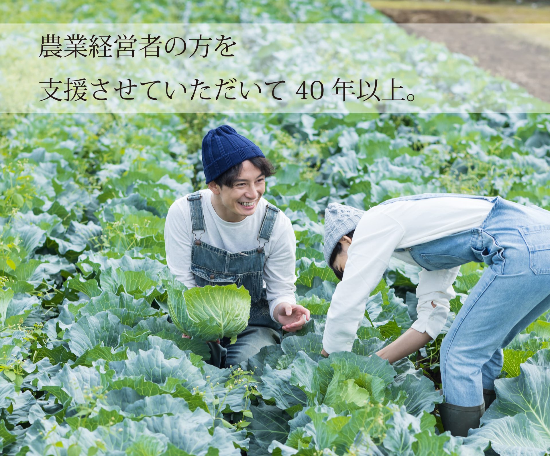 サブ画像SP